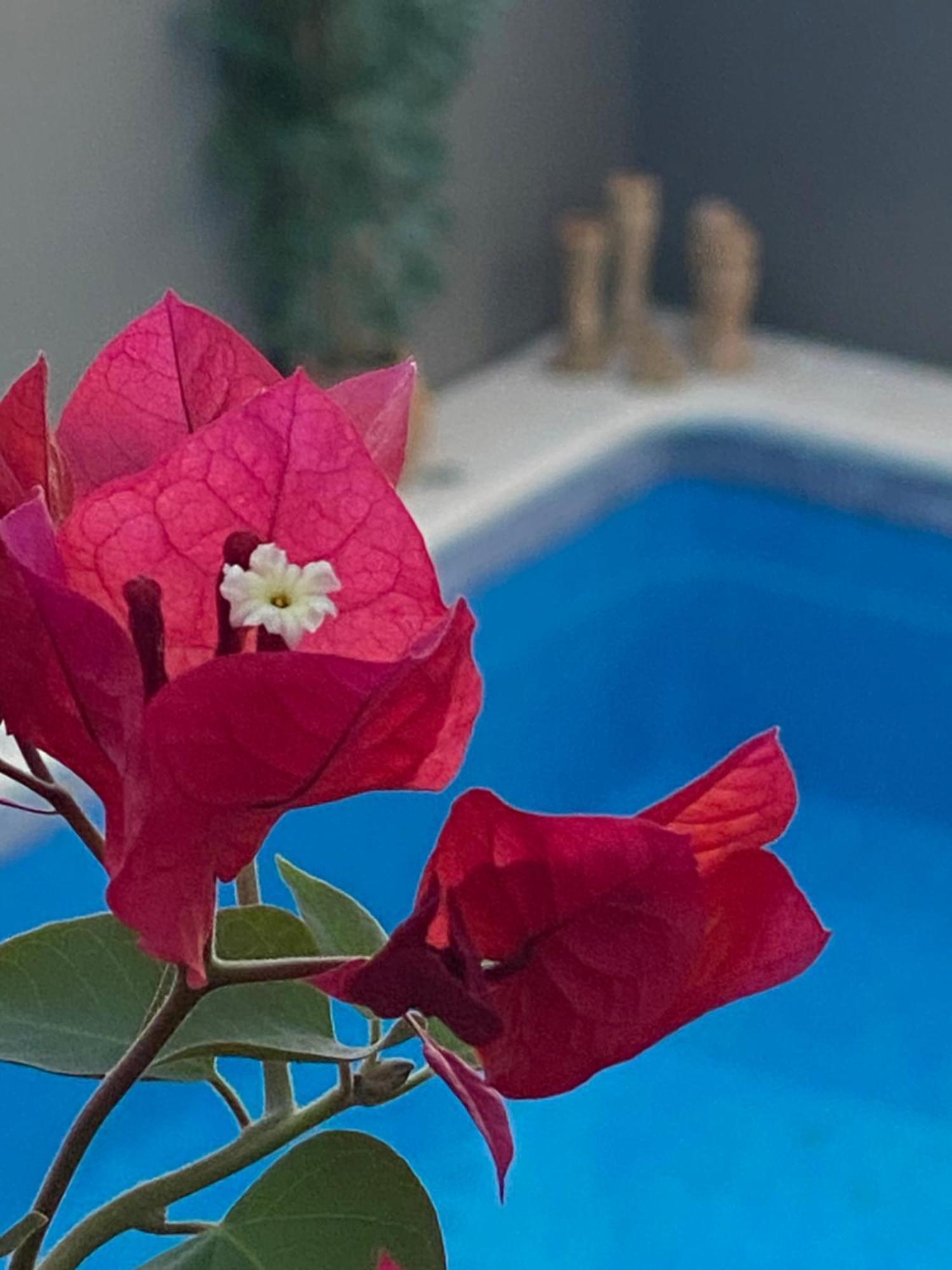 חרז Casa Palacio Anima מראה חיצוני תמונה
